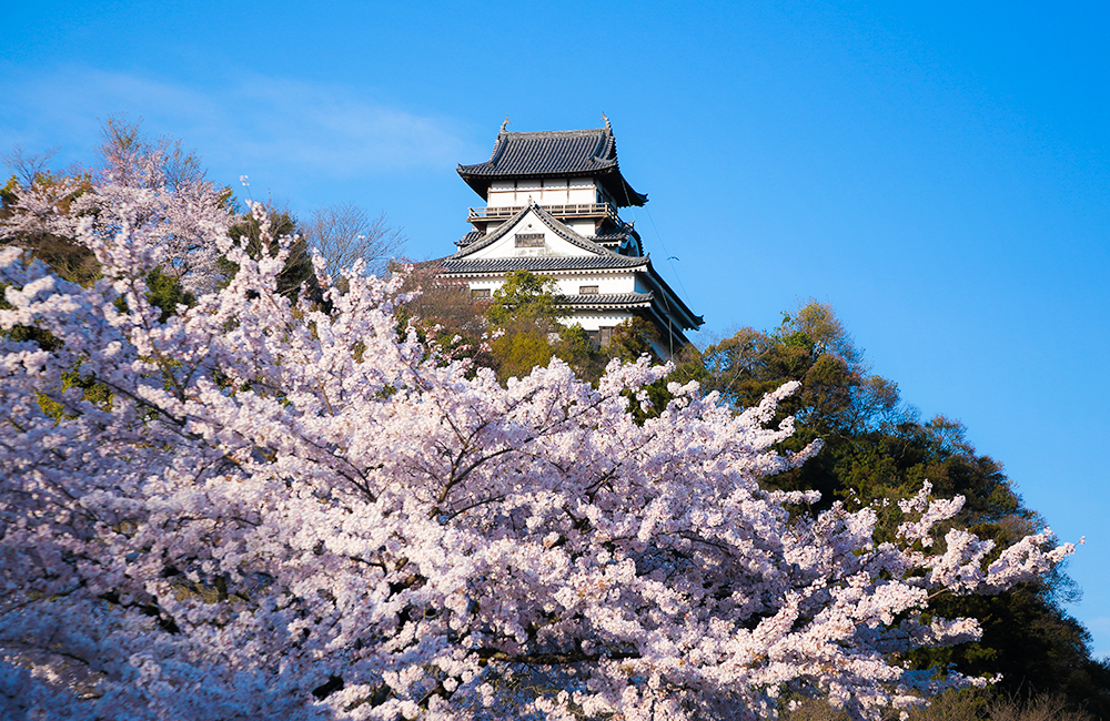 一般社団法人愛知インバウンド協会 |